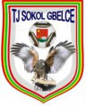 /album/logo/logo-tj-sokol-gbelce-jpg2/